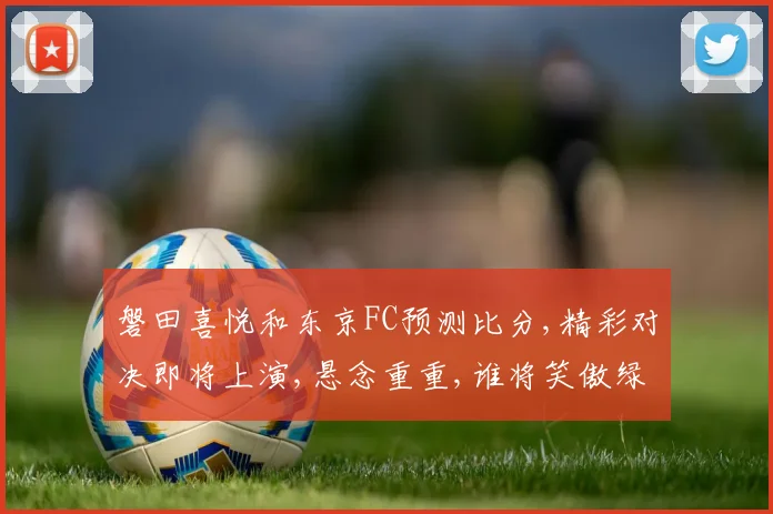 磐田喜悦和东京FC预测比分,精彩对决即将上演,悬念重重,谁将笑傲绿茵场