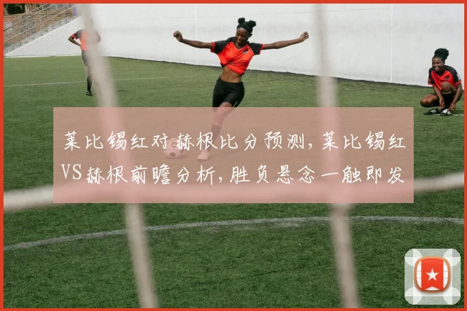 莱比锡红对赫根比分预测,莱比锡红VS赫根前瞻分析,胜负悬念一触即发,谁将笑到最后